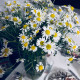 Катерина