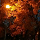 Алиса Селезнёва