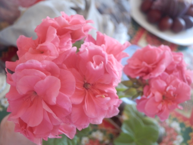 Цветочные дела