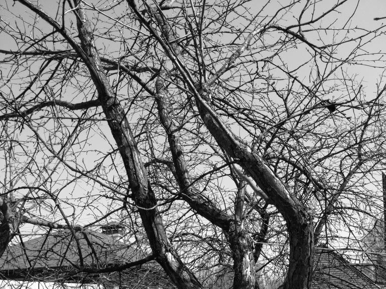 В черно-белом..