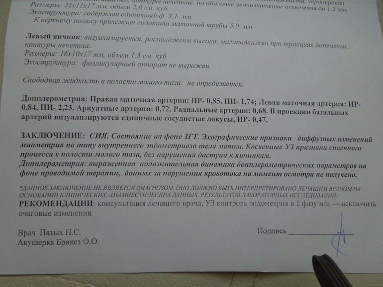 Допплер!!! И моя победа над кровотоком!!!