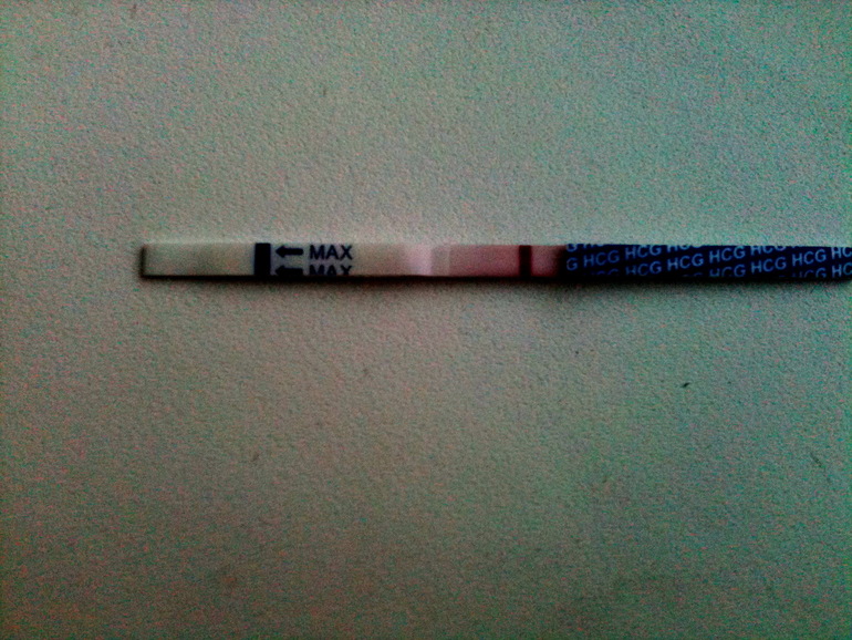 Я - бурундук!)