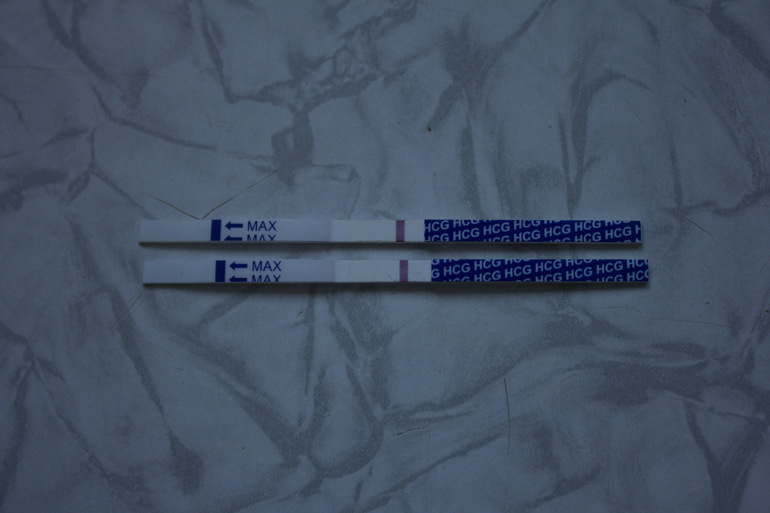 Я - бурундук!)