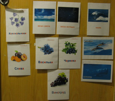 ТД 22 Синий цвет. 1г 9 мес