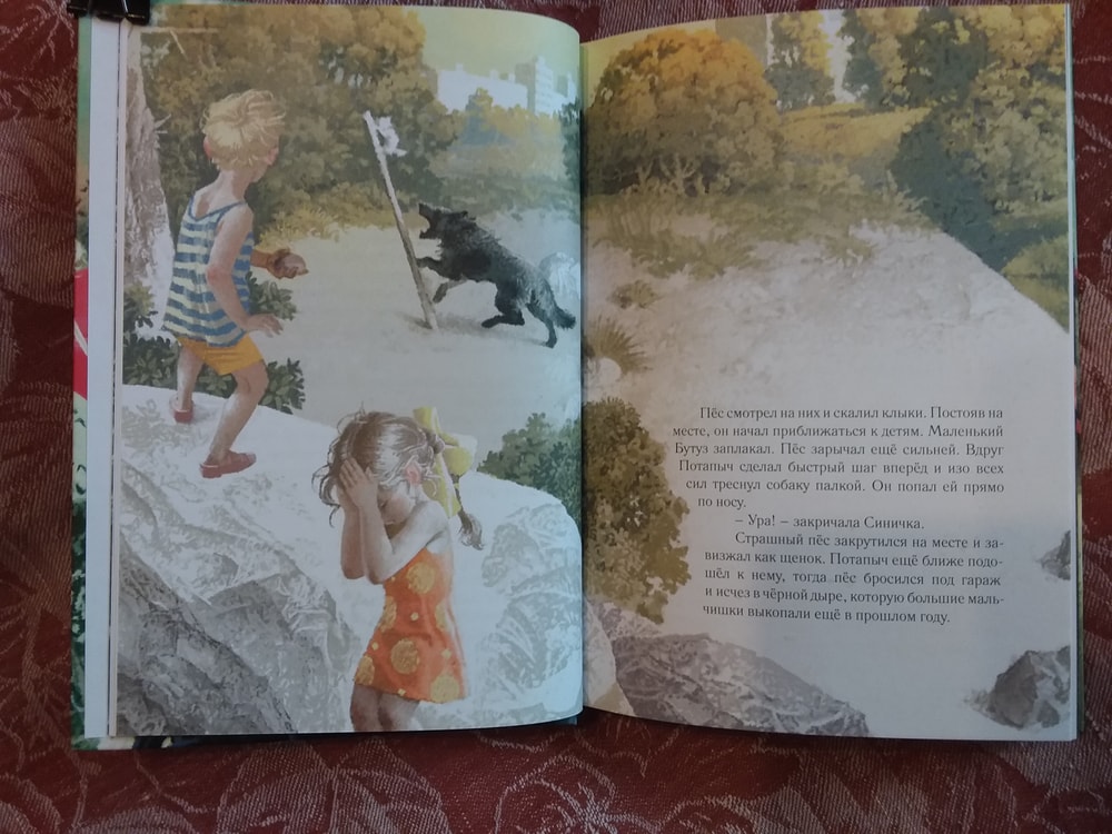 Изображение