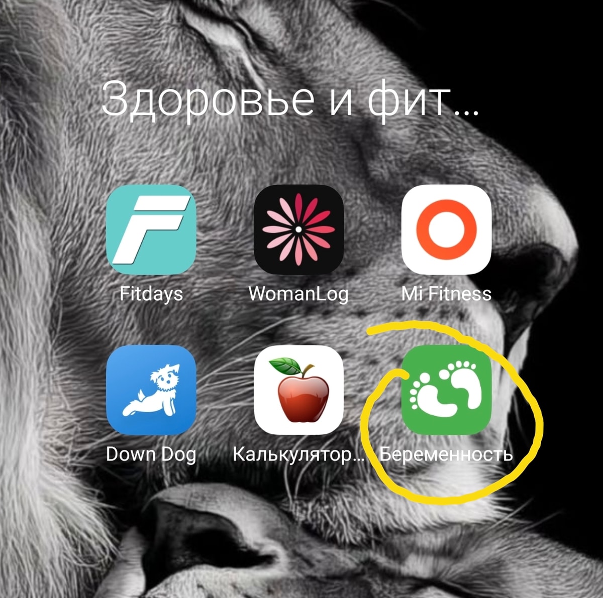 Изображение